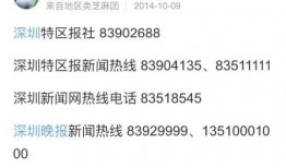 个人爆料新闻有哪些类型,五大热门类型深度解析